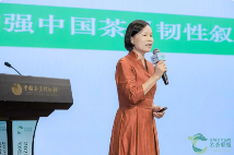 品牌竞合思维助力区域茶产业发展新路径 22大区域名茶西湖竞合:以品牌之力激活茶产业发展新动能