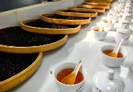 云南凤庆：沪滇协作“煨”好茶 凤庆滇红香东方