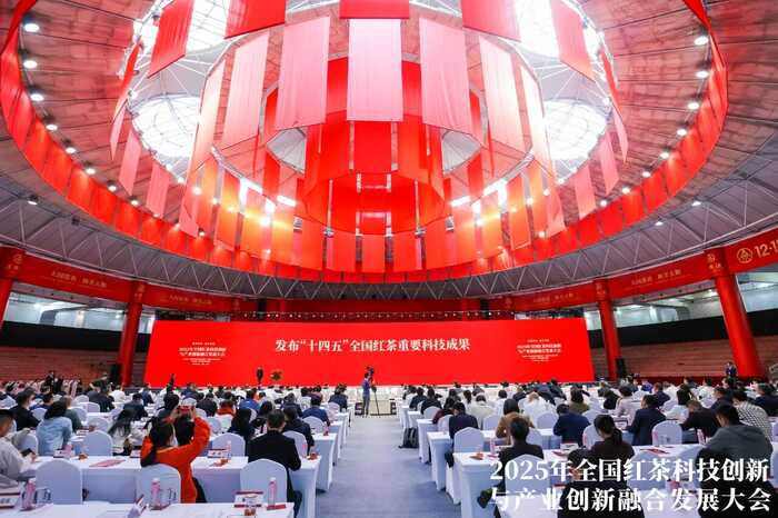 科技重塑中国红茶！这一领军企业揭示茶业创新未来