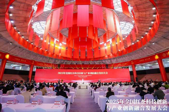 科技重塑中国红茶！这一领军企业揭示茶业创新未来