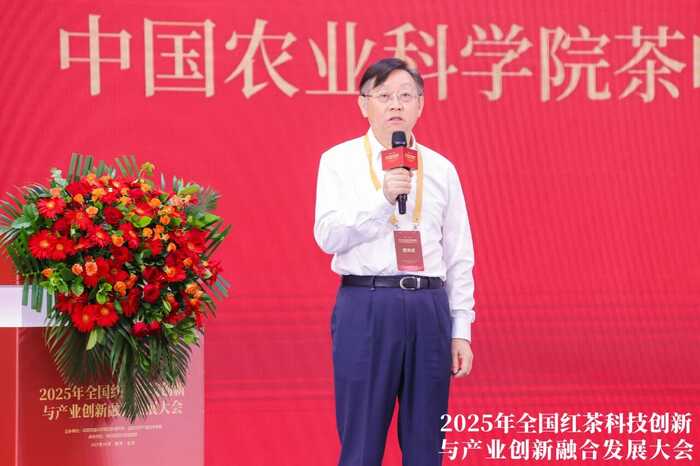 科技重塑中国红茶！这一领军企业揭示茶业创新未来