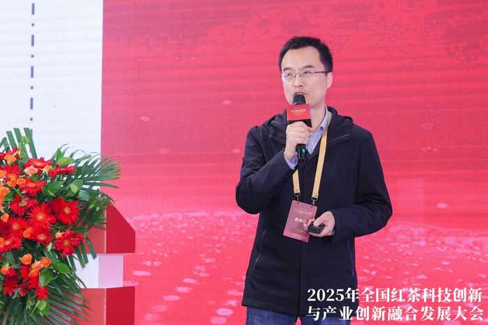 科技重塑中国红茶！这一领军企业揭示茶业创新未来