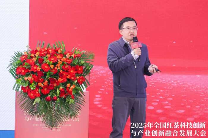 科技重塑中国红茶！这一领军企业揭示茶业创新未来