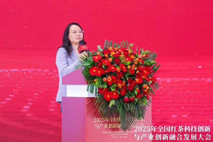 科技重塑中国红茶！这一领军企业揭示茶业创新未来