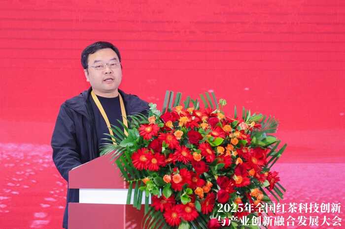 科技重塑中国红茶！这一领军企业揭示茶业创新未来