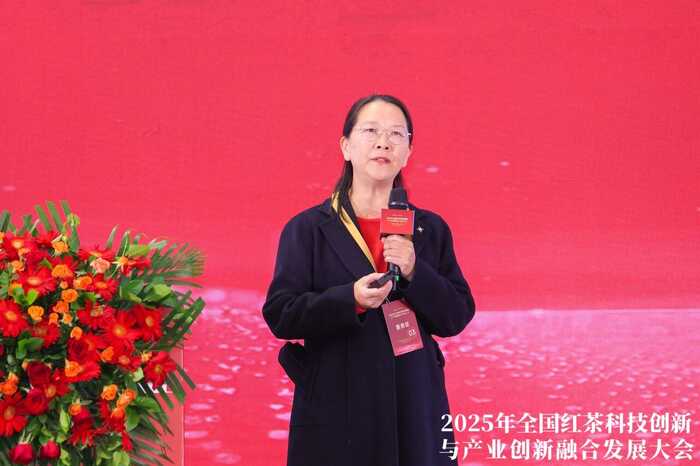 科技重塑中国红茶！这一领军企业揭示茶业创新未来