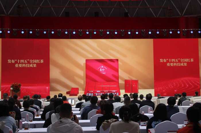 科技重塑中国红茶！这一领军企业揭示茶业创新未来