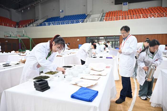 百名学子竞技艺，一缕茶香传匠心：2025年“百岳杯”四川省大学生茶学技能大赛圆满举办