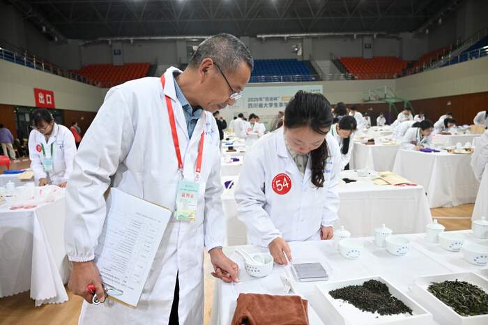 百名学子竞技艺，一缕茶香传匠心：2025年“百岳杯”四川省大学生茶学技能大赛圆满举办