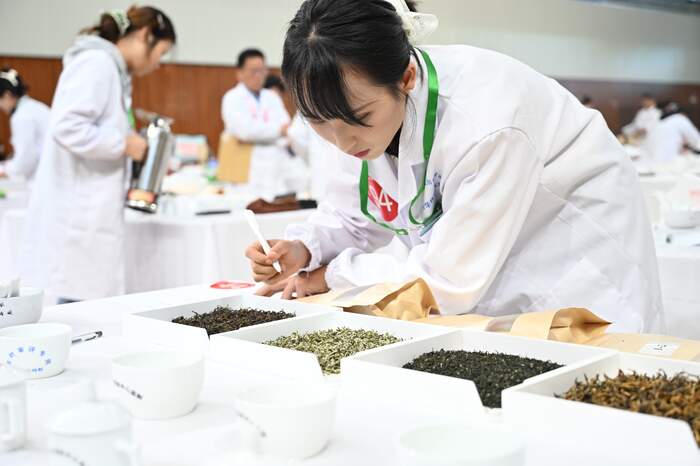 百名学子竞技艺，一缕茶香传匠心：2025年“百岳杯”四川省大学生茶学技能大赛圆满举办