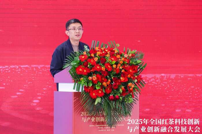科技重塑中国红茶！这一领军企业揭示茶业创新未来