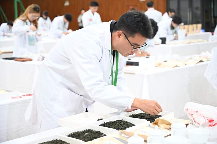 百名学子竞技艺，一缕茶香传匠心：2025年“百岳杯”四川省大学生茶学技能大赛圆满举办