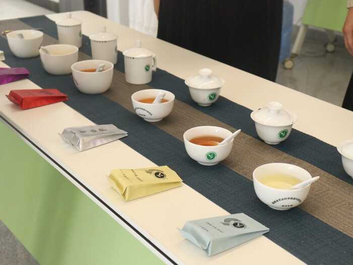 福建茶产业与三茶统筹融合发展新路径 九十载闽茶科研路,如何写好“三茶”大文章?