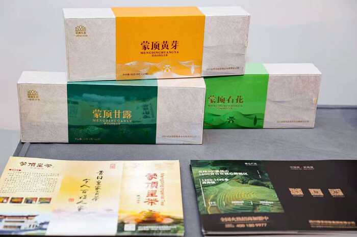 蒙顶贡茶 茗谢杭城——2025蒙顶贡茶中国行·西湖赏茗大会在杭州举行