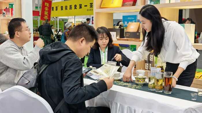 2025杭博茶博会蒙顶山茶主题展馆引热潮,豪香甘醇获多方赞誉 千年贡茶香飘杭城 蒙顶山茶惊艳亮相杭州茶博会