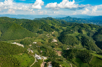 从“零水田”到“茶满山”——党建引领下的永平大坪坦村“茶经”新篇