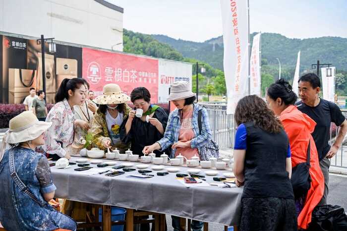 茶王赛与斗茶赛革新路径:机遇、挑战及转型效应 解构茶王赛机遇与隐痛!赛事未来落脚何处?