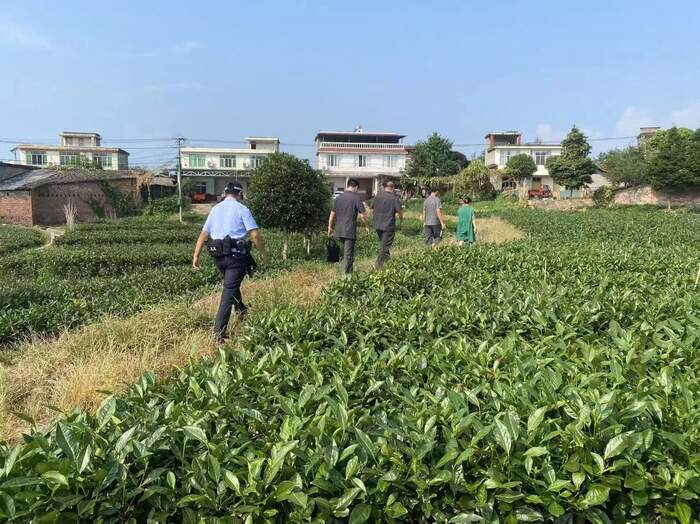 茶韵法度  融茶韵于执行 以法治护茶兴