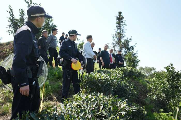 茶韵法度  融茶韵于执行 以法治护茶兴