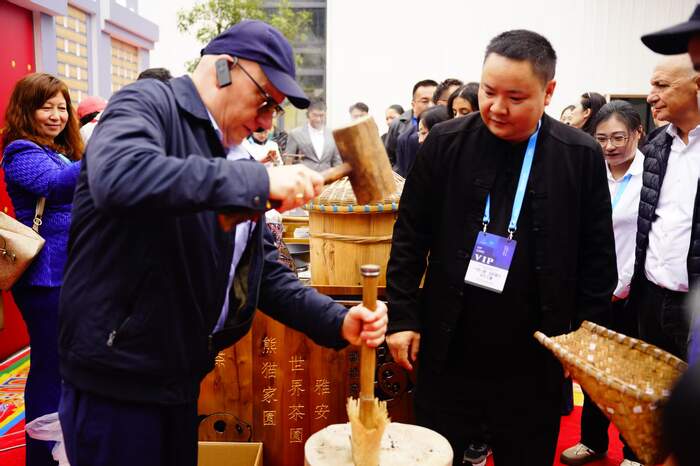 茶香迎贵客,共品藏茶香:多国使节走进雅安和龙茶业,共启茶文化交融新篇章 茶香迎贵客,共品藏茶香:多国使节走进雅安和龙茶业,共启茶文化交融新篇章
