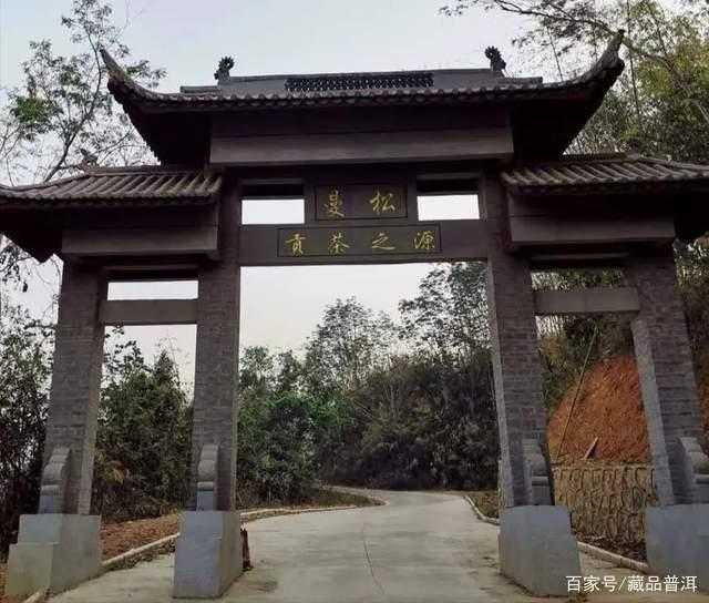 曼松普洱，贵为“皇家贡茶”，究竟有什么神秘之处？