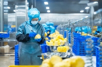 中国新茶饮品牌加速国际化布局,海外市场成新引擎 新茶饮的出海密码