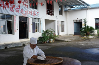 武甸山古茶树产业振兴带动民族团结与乡村共富 户育:古树茶香漫茶山 振兴路上绽团结