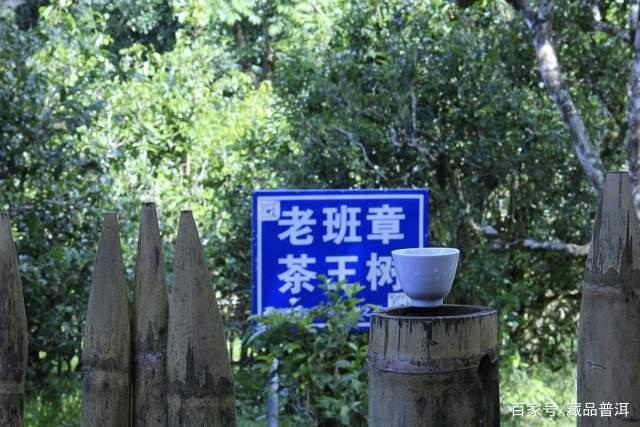 陈升号老班章高价之谜：稀缺性与收藏价值解析
