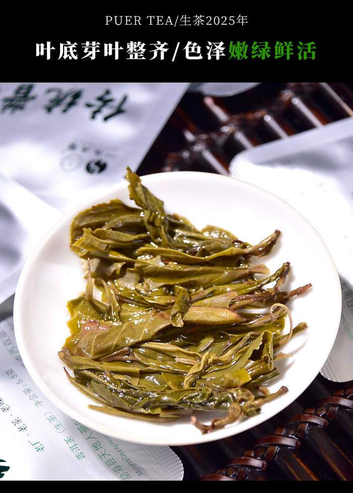 2025年天地人倒生根 一头大象 传统普洱小饼 生茶
