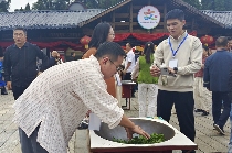 保靖黄金茶推动"三茶统筹"助力乡村振兴 保靖黄金茶“三茶统筹”高质量发展大会成功举办