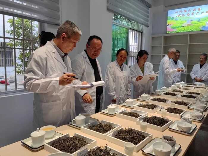 双江县“三茶统筹”研究院获2025年度茶文化“五进”工作优秀组织