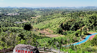 大渡岗万亩茶园荣膺国家3A级旅游景区 茶文旅融合焕发新活力 大渡岗万亩茶园授牌成为3A级旅游景区