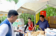 福贡古茶树助力茶产业振兴:联农带农新模式 怒江石月红茶业:立足云端茶源 助推乡村振兴