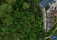 安溪县首居茶业百强县 全国茶产业数字化先锋 在这座闽南小城,最传统的茶业正发生最新锐的变化!