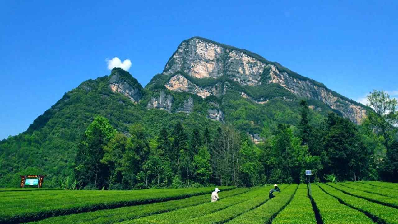 农业现代化高质量发展路径与实施要点 农业现代化高质量发展路径与实施要点