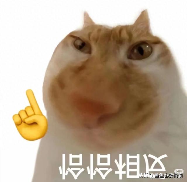 500元内紫砂壶虚标,真泥难保品质 500元内紫砂壶虚标,真泥难保品质