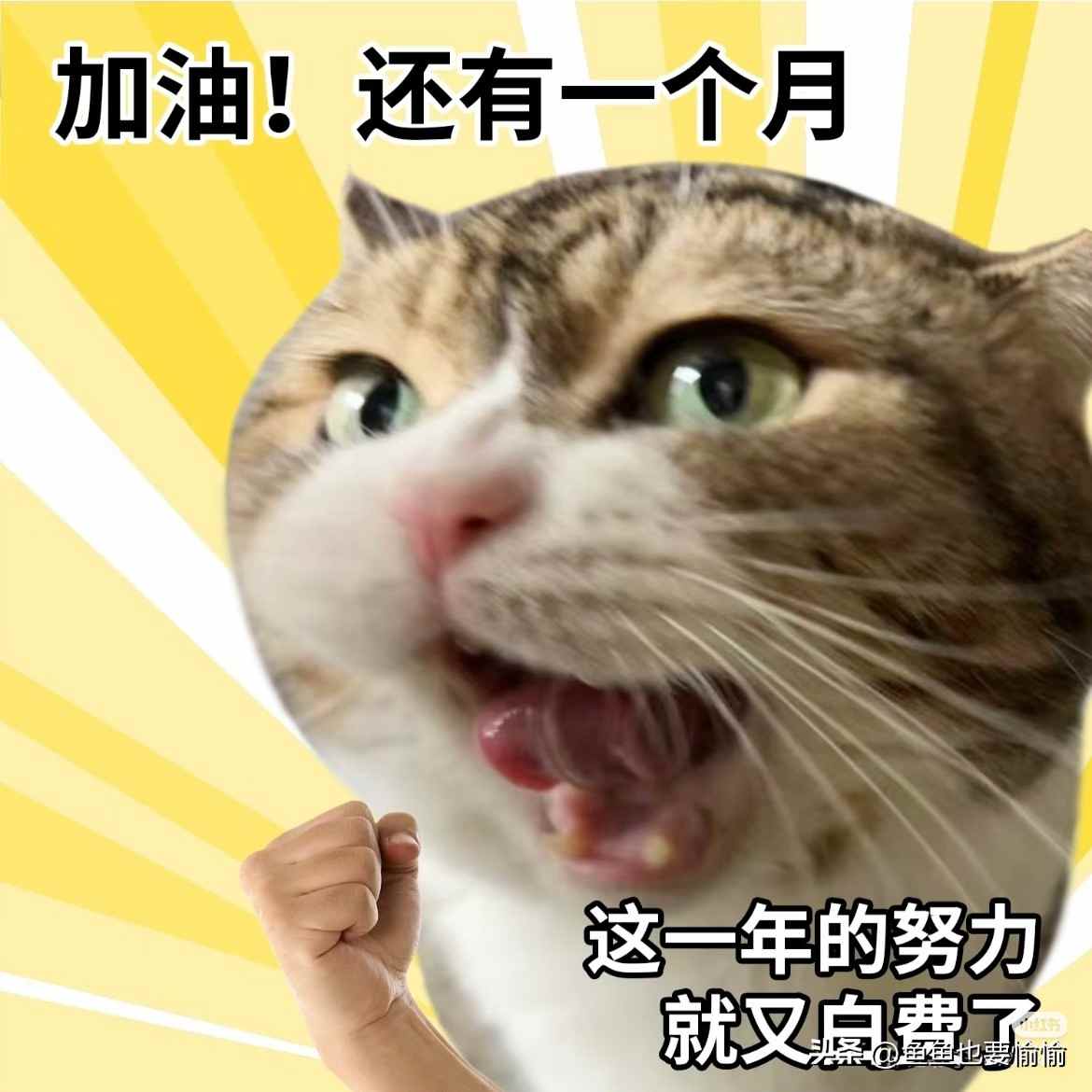 预期性消费为何让我买光茶具？答案扎心