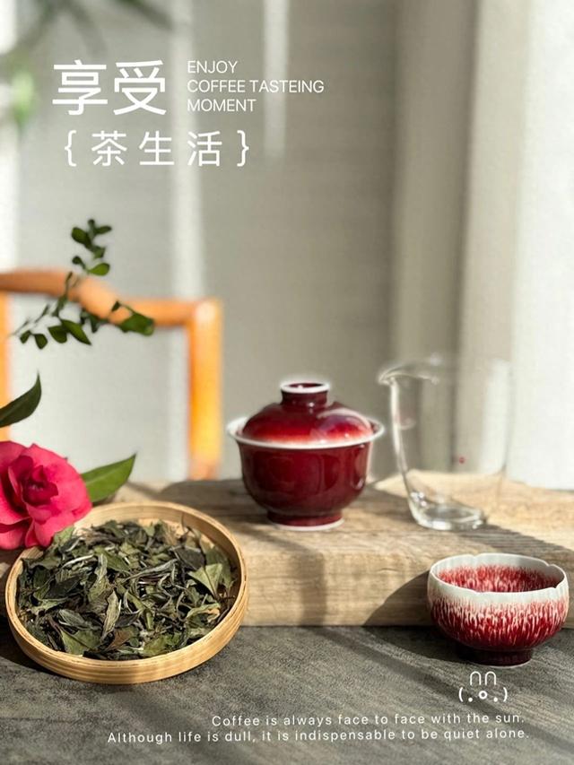 老白茶 vs 做旧茶:自然陈化与人为做旧的感官对比 老白茶 vs 做旧茶:自然陈化与人为做旧的感官对比