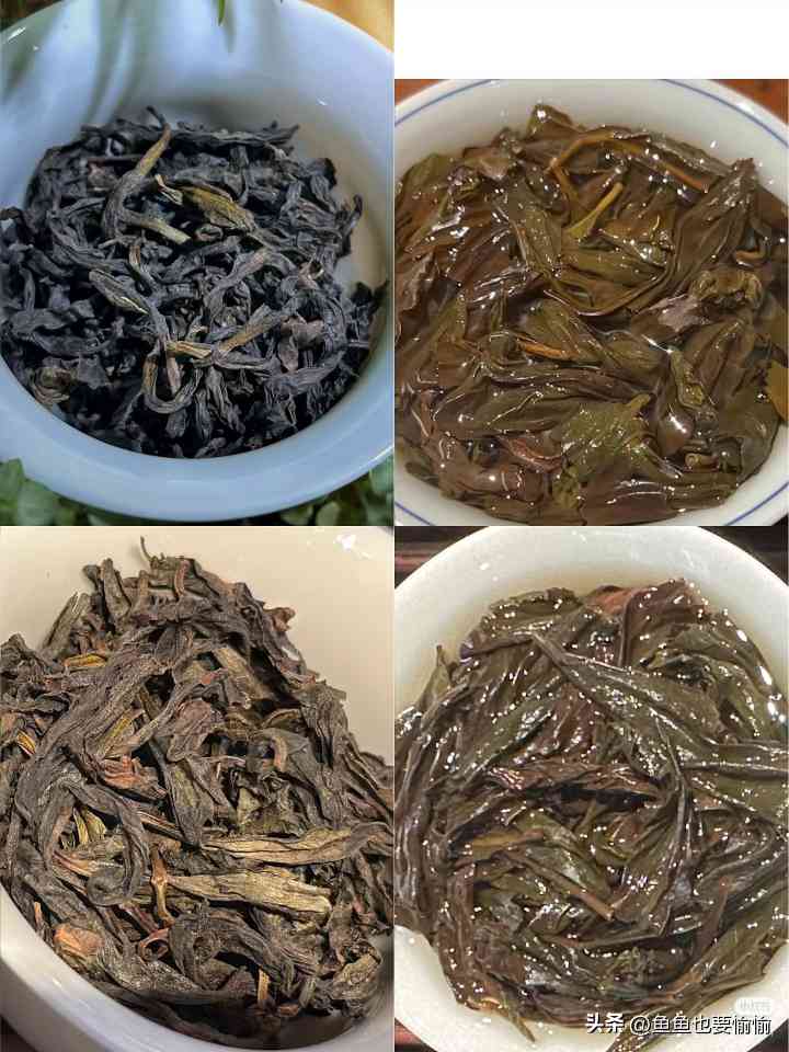 揭开武夷岩茶百大行话玄机,茶叙不用慌 揭开武夷岩茶百大行话玄机,茶叙不用慌
