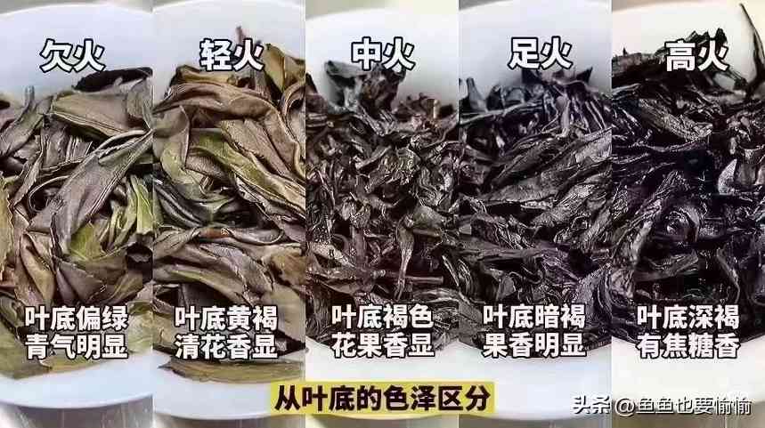 揭开武夷岩茶百大行话玄机,茶叙不用慌 揭开武夷岩茶百大行话玄机,茶叙不用慌