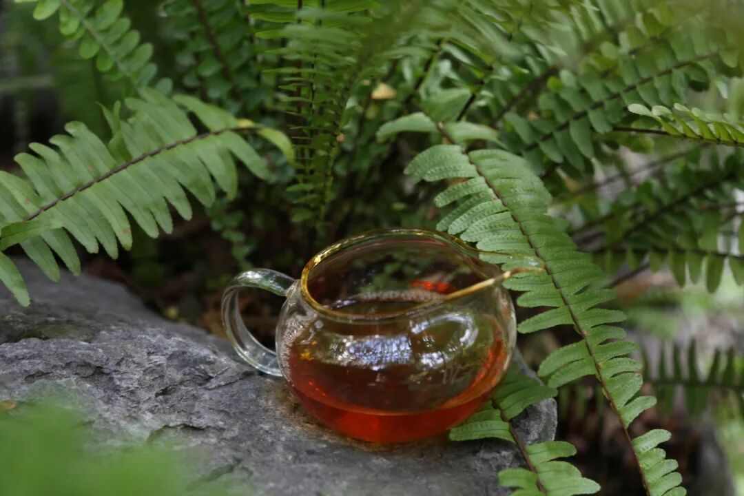 普洱茶近代发展史揭秘：四大茶号与工艺革新