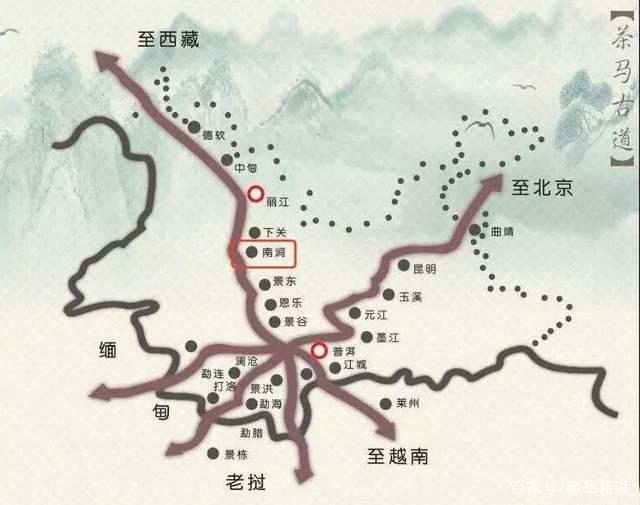 凤凰沱茶详细介绍，历史与品质分析