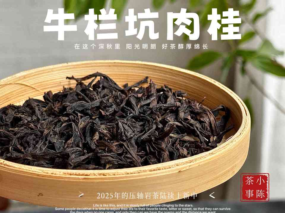 如何轻松辨别劣质岩茶 四大特征不踩坑 如何轻松辨别劣质岩茶 四大特征不踩坑