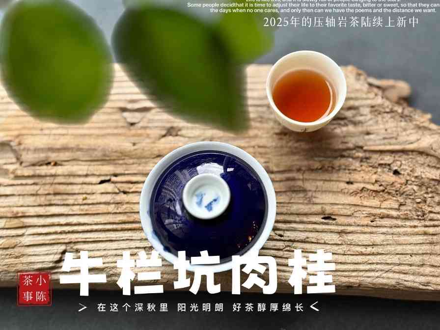 如何轻松辨别劣质岩茶 四大特征不踩坑 如何轻松辨别劣质岩茶 四大特征不踩坑