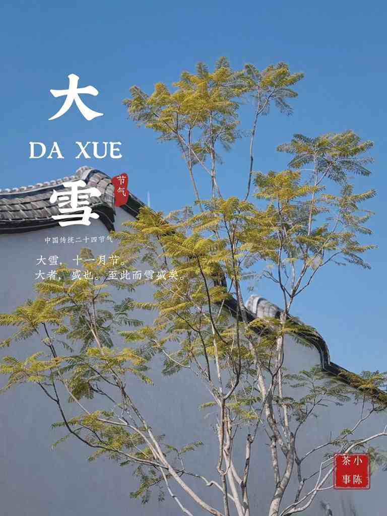 如何轻松辨别劣质岩茶 四大特征不踩坑 如何轻松辨别劣质岩茶 四大特征不踩坑
