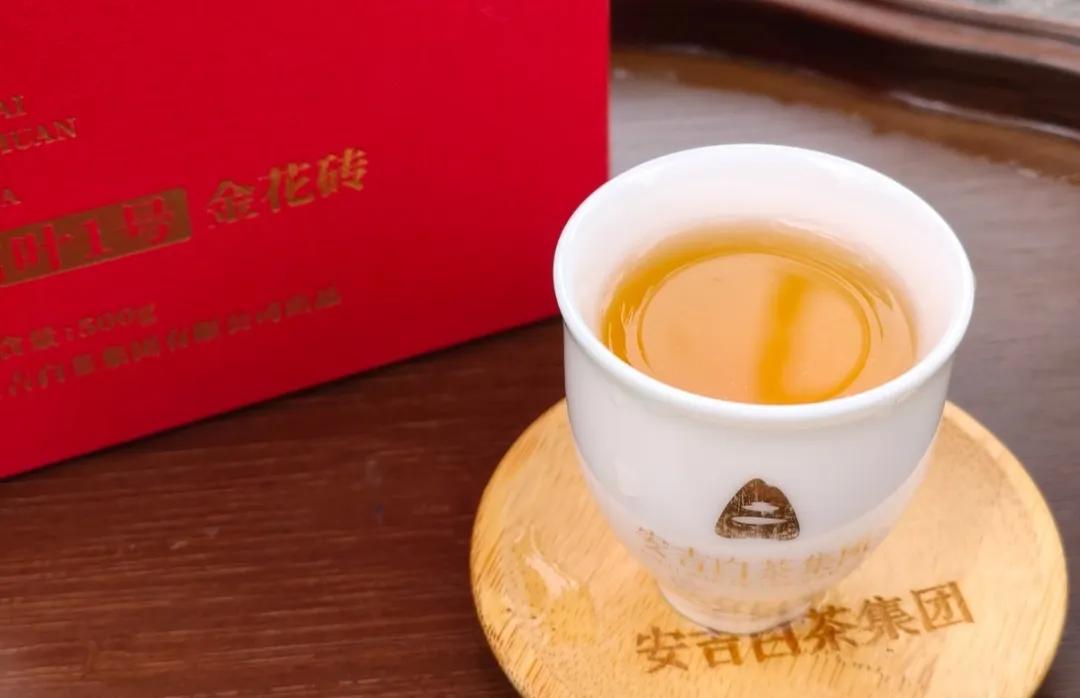 金花茯砖茶四季养生妙用，温暖又清新