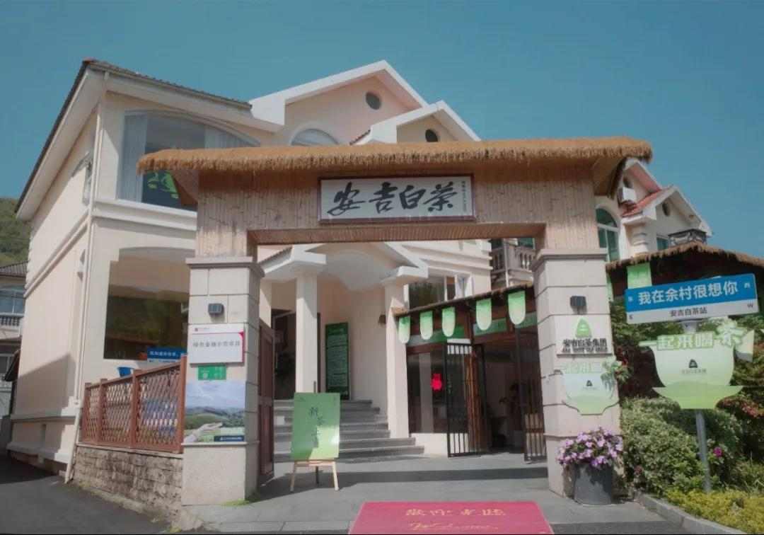 金花茯砖茶四季养生妙用，温暖又清新