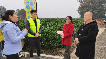 无人机助力茶园冬管 绿色防控提升茶叶品质 科技赋能 绿色防控 名山区红星镇开展茶园冬管社会化服务千亩示范