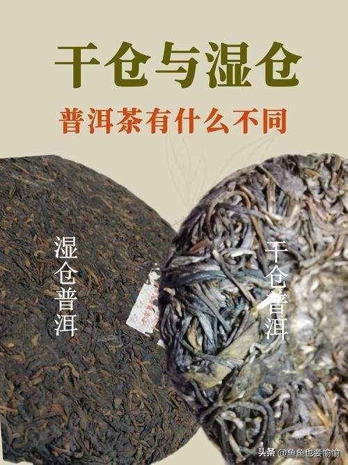 老茶水太深！揭秘老普洱茶的制作陷阱