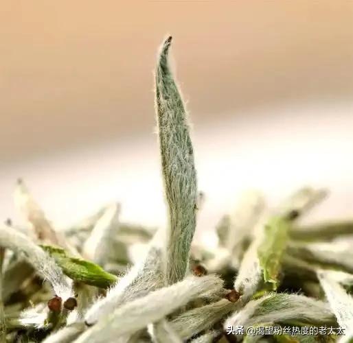 茶类保存误区解析:不同茶品的科学存储方法 茶类保存误区解析:不同茶品的科学存储方法